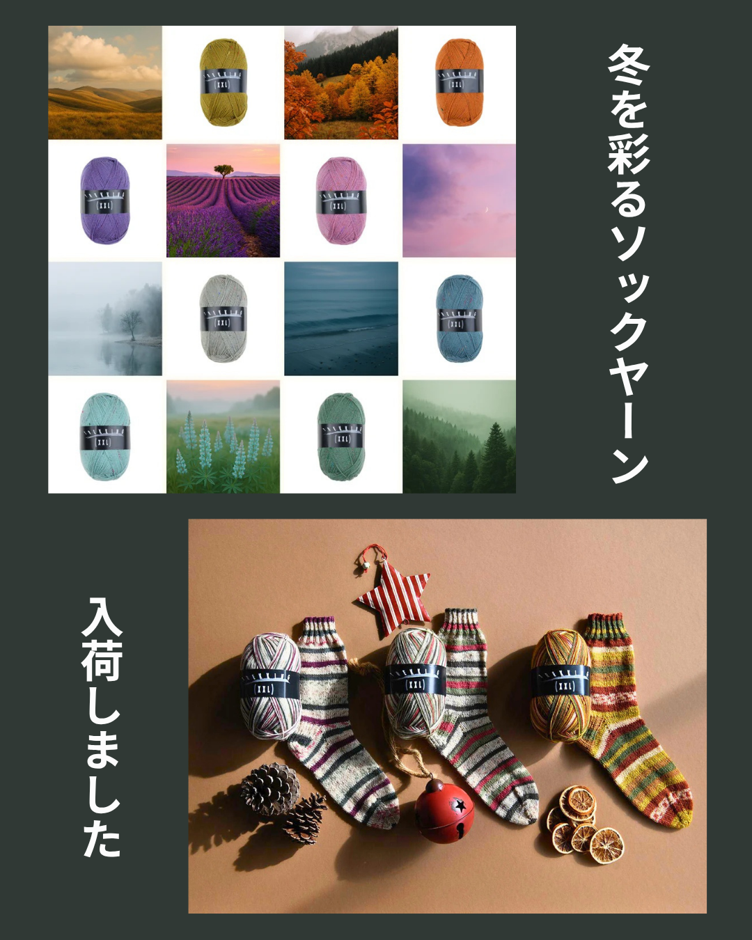 ❄️冬を彩る新作入荷｜アトリエ ツィトロン最新ソックヤーン2種