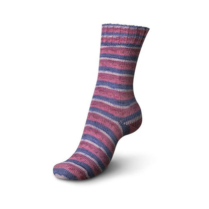 REGIA：レギア コットンカラー【即日発送】