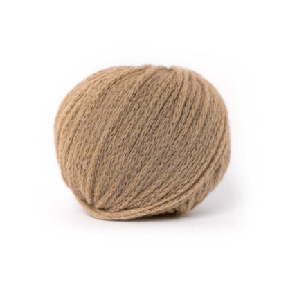 Pascuali：パスクアリ キャメル DK