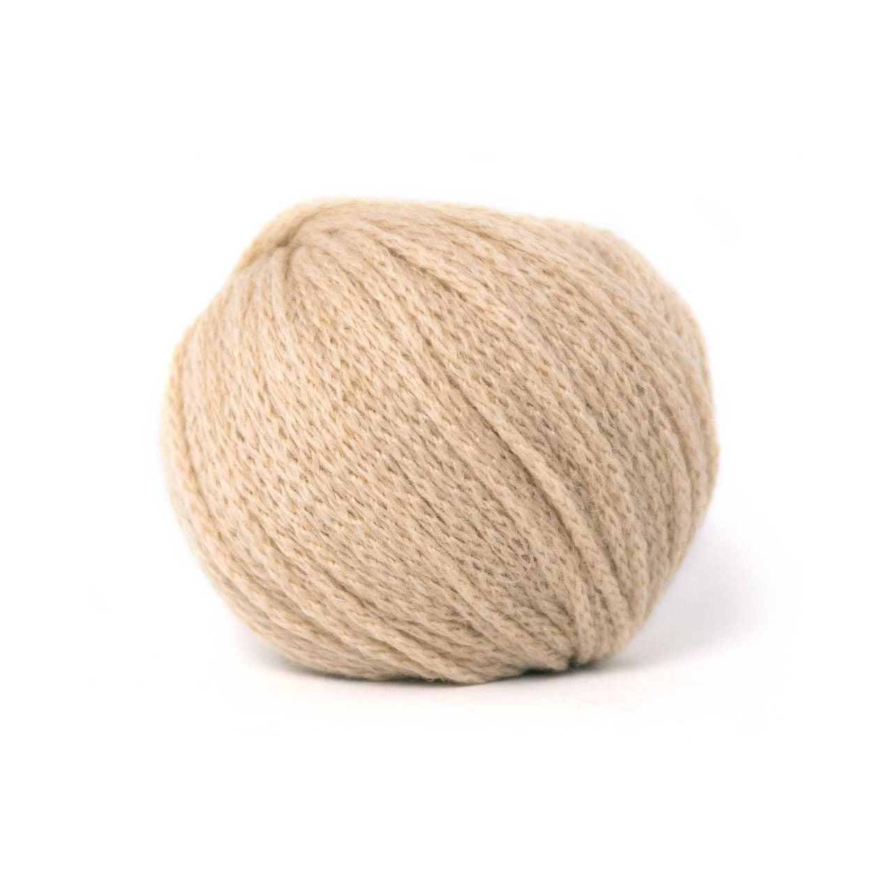 Pascuali：パスクアリ キャメル DK