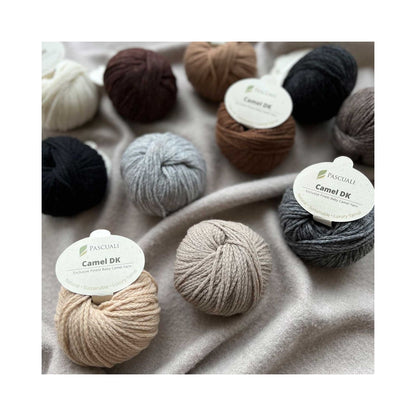 Pascuali：パスクアリ キャメル DK