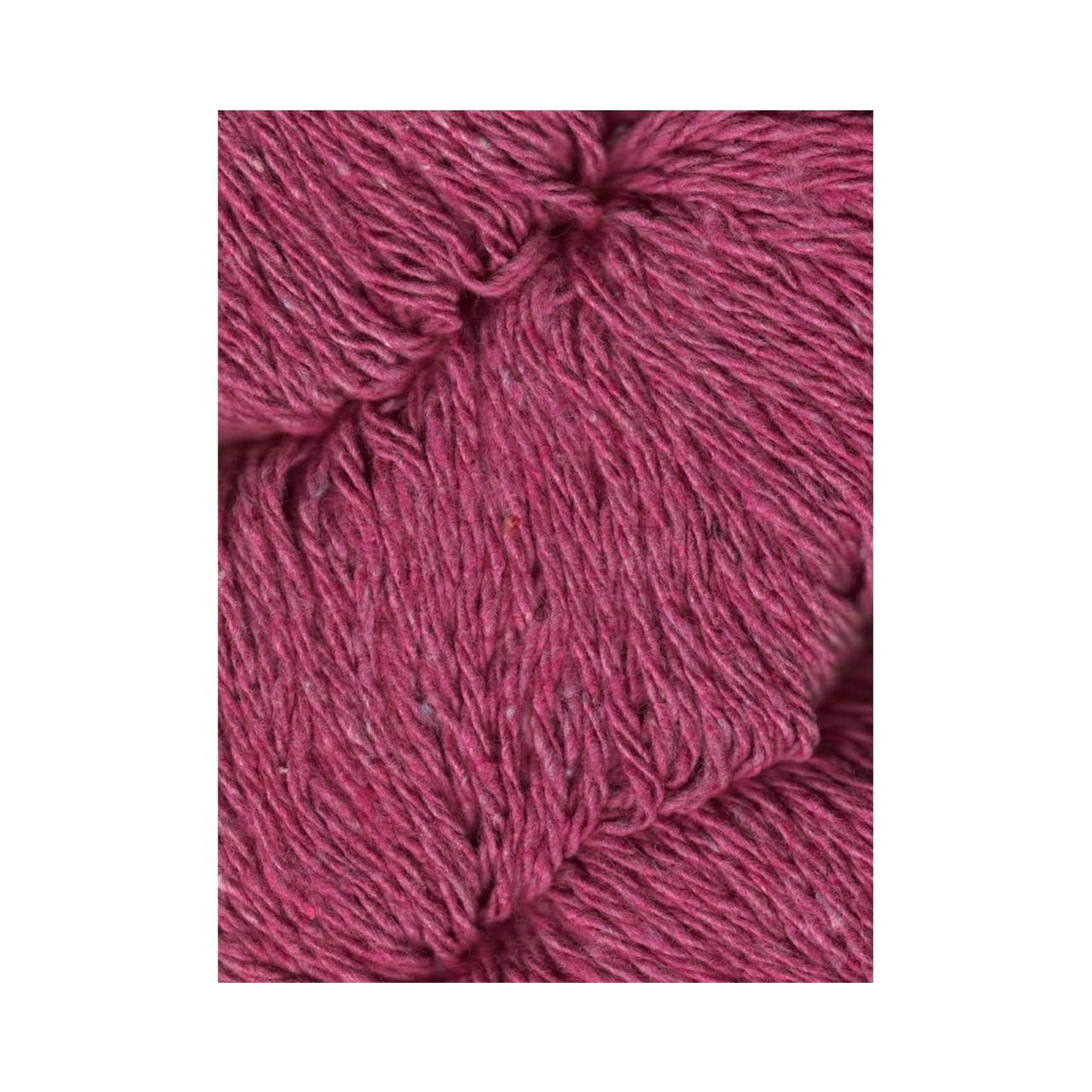 Queensland：クイーンズランド ダンガリー