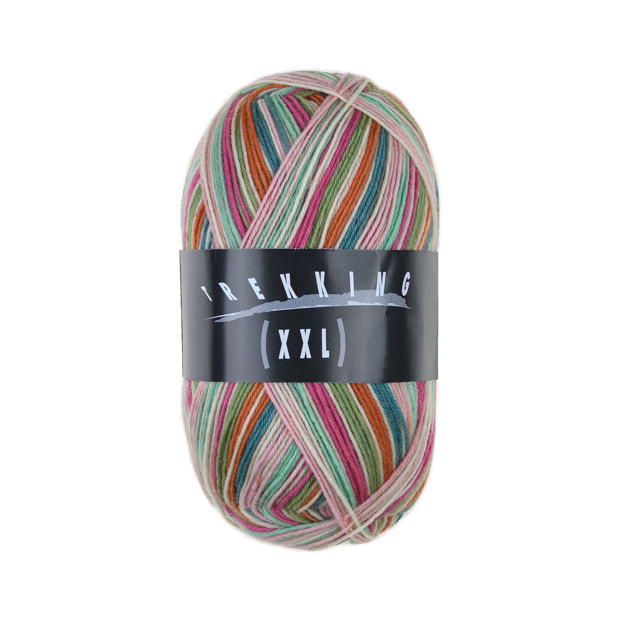 耐久性抜群のソックヤーントレッキング 2026｜Atelier Zitron