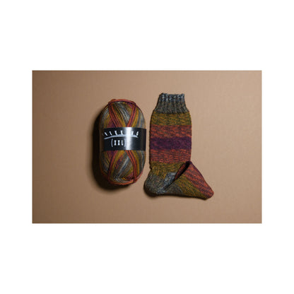 耐久性抜群のソックヤーントレッキング 2026｜Atelier Zitron：アトリエ ツィトロン【即日発送】